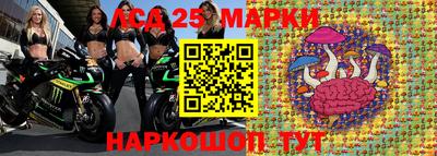 прущие грибы Будённовск
