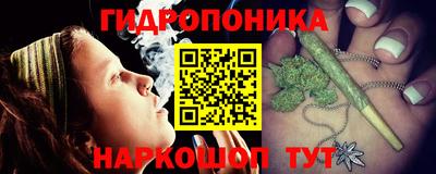 прущие грибы Будённовск