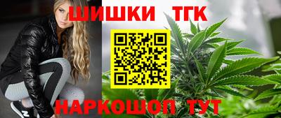 прущие грибы Будённовск