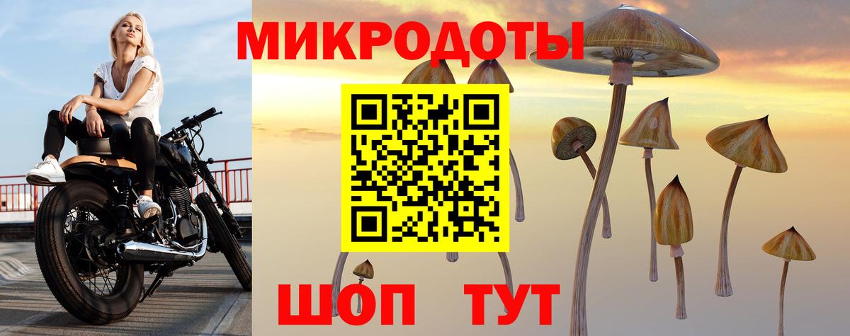 Псилоцибиновые грибы мицелий Скопин