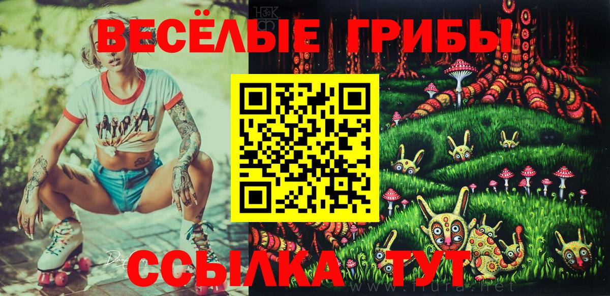 Скопин  Псилоцибиновые грибы Psilocybe  Вход с VPN 